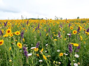 Как подобрать идеальный оттенок помады под ваш тон кожи